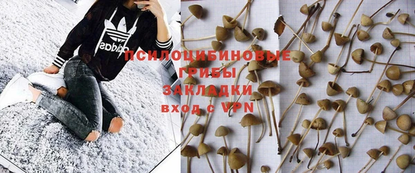 амф Абинск