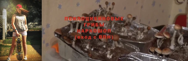 скорость Абаза