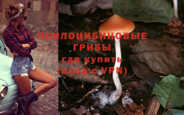 скорость Абаза