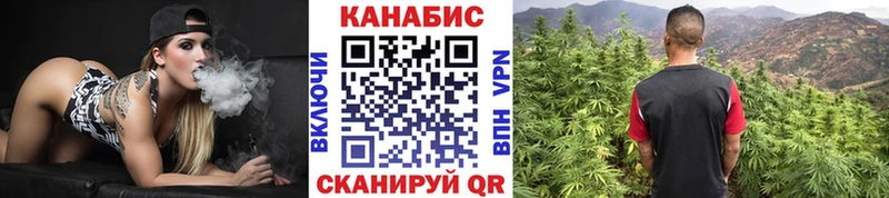 купить наркотики цена  Белоозёрский  Конопля тримм 