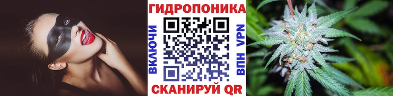 Канабис план Белоозёрский